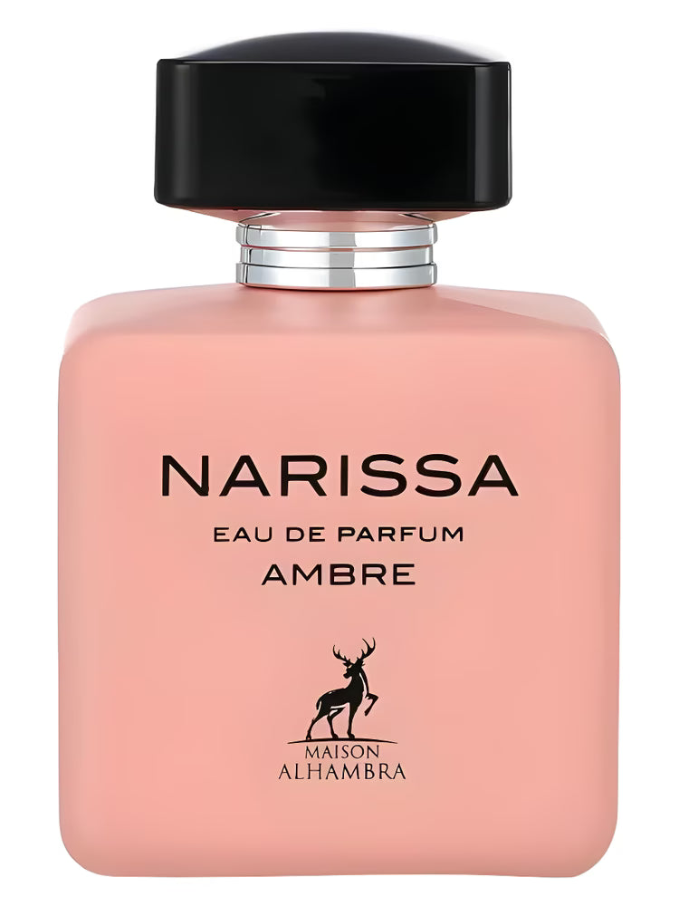 Narissa Ambre בהשראת Ambre Narciso Rodriguez
