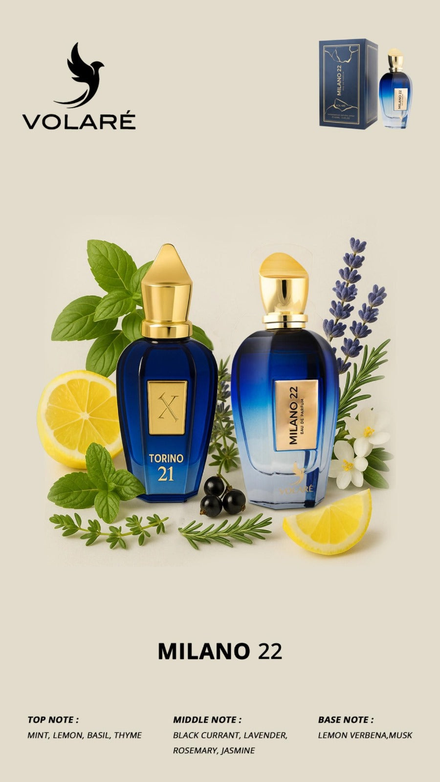 MILANO 22 VOLARE 100ML (Inspired By TORINO 21)