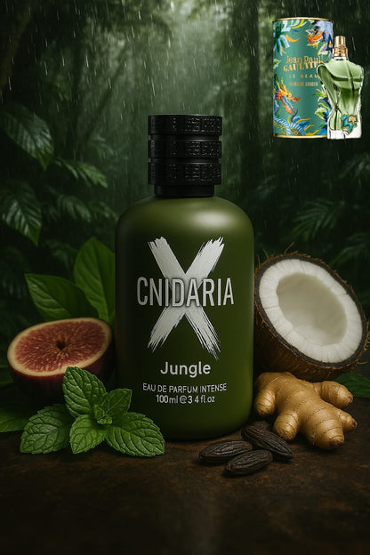 CNIDARIA X JUNGLE 100ML EDP INTENSE (Inspired By JPG LE MALE LE PARFUM PARADISE GARDEN )